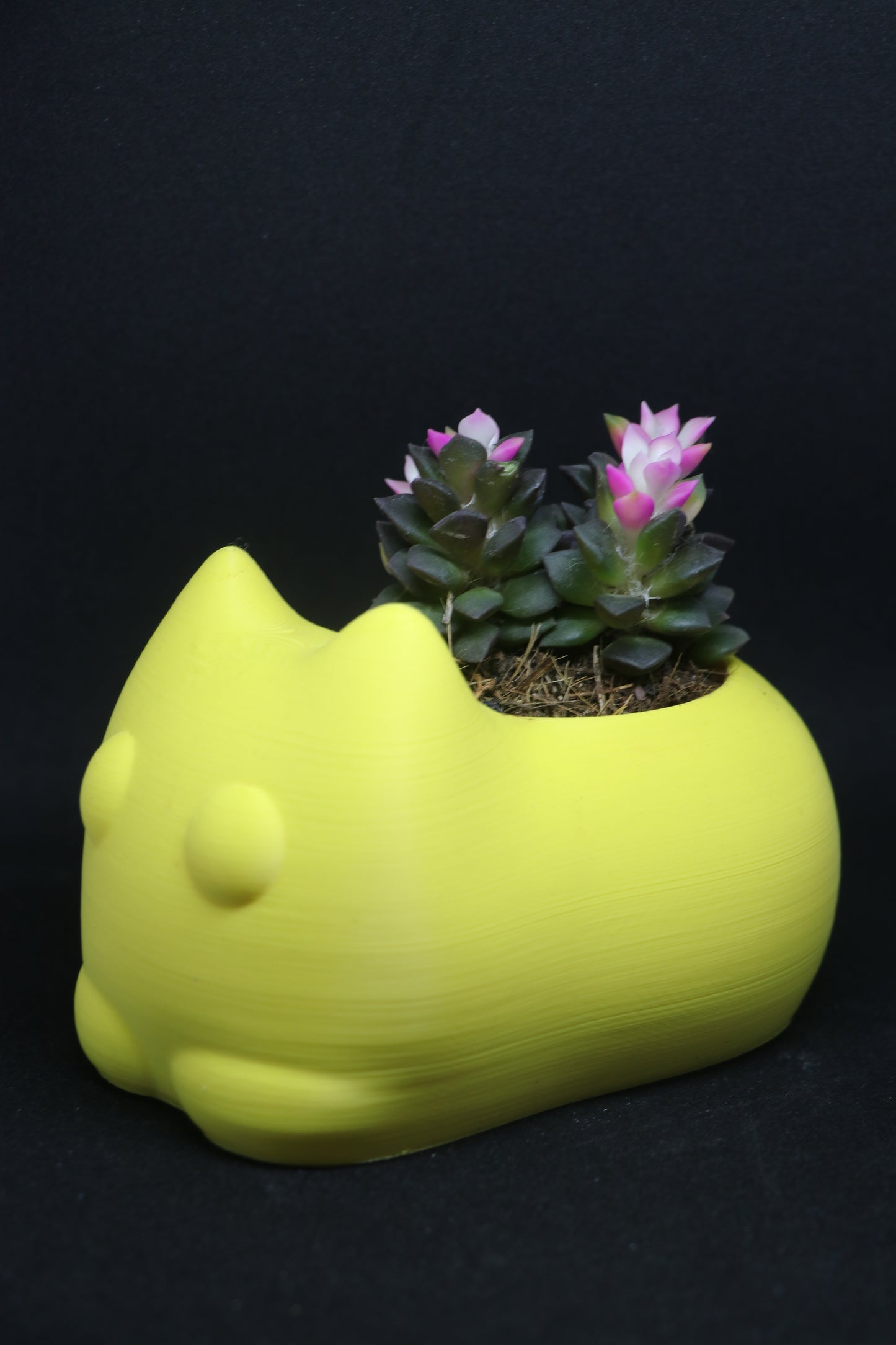 Cat Planter | 3D Printed