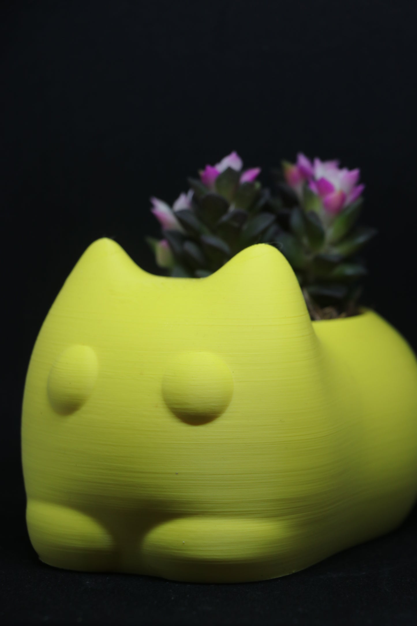 Cat Planter | 3D Printed